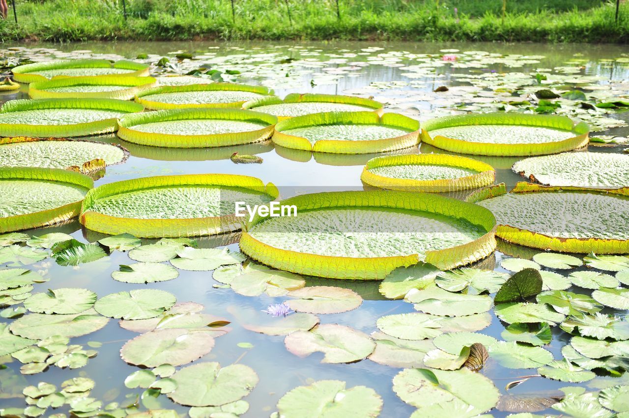 SCENIC VIEW OF LAKE