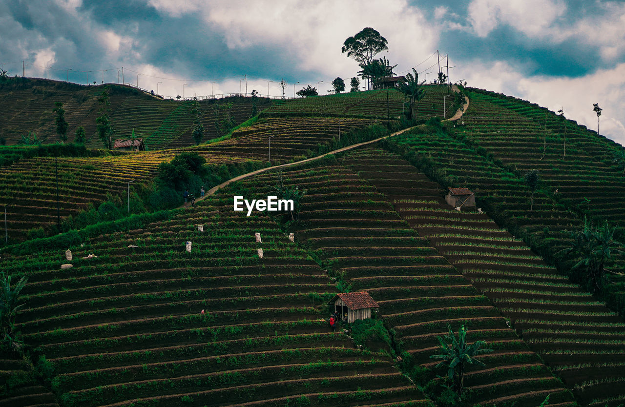 High angle view of agricultural field against sky