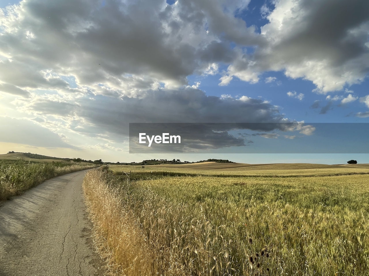 SCENIC VIEW OF FARM AGAINST SKY