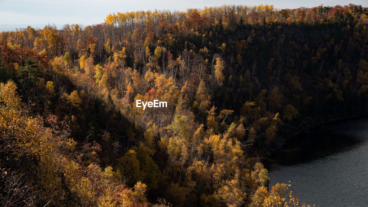 Scenic view of river in forest against sky