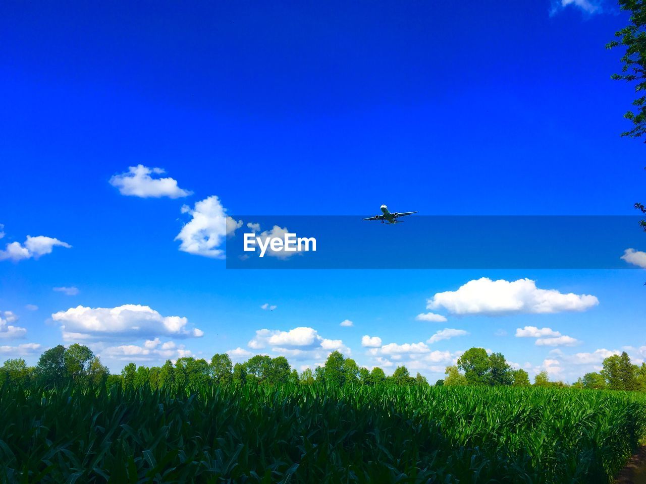 LOW ANGLE VIEW OF AIRPLANE FLYING OVER BLUE SKY