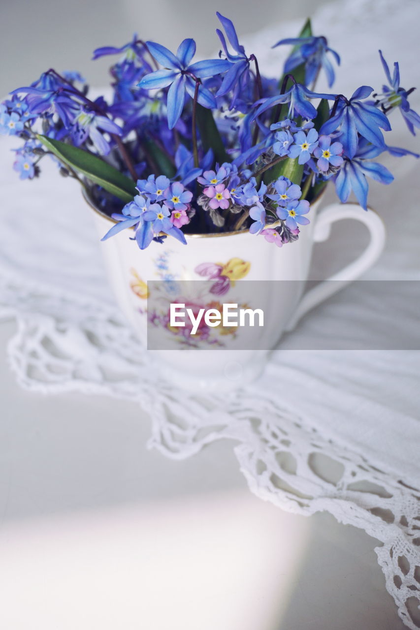 Close-up of purple flowers in cup on table