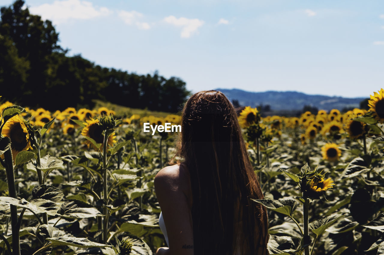 Rear view of woman on sunflower field against sky