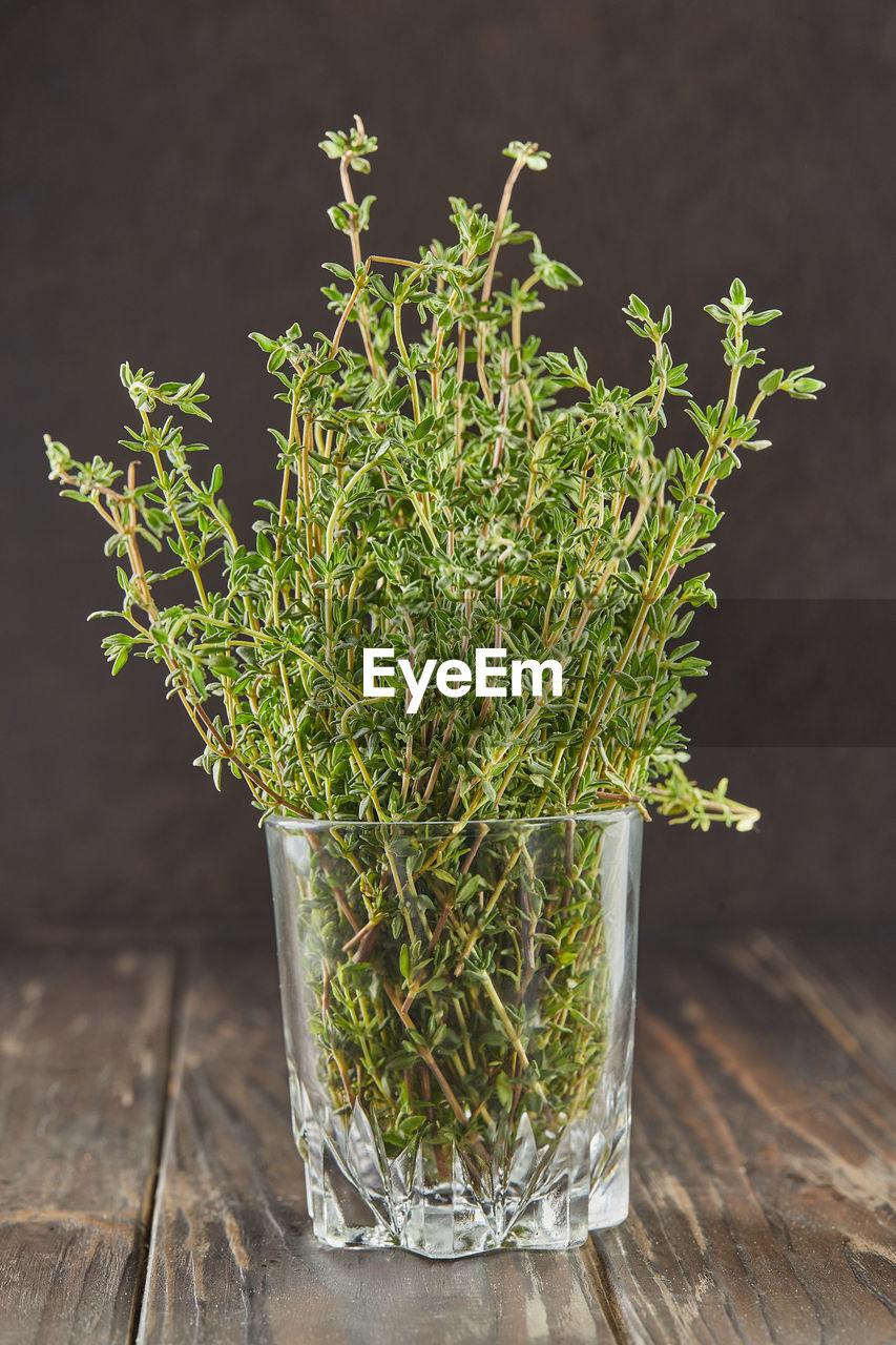 Bouquet of fresh thyme in glass, herbs to add to food