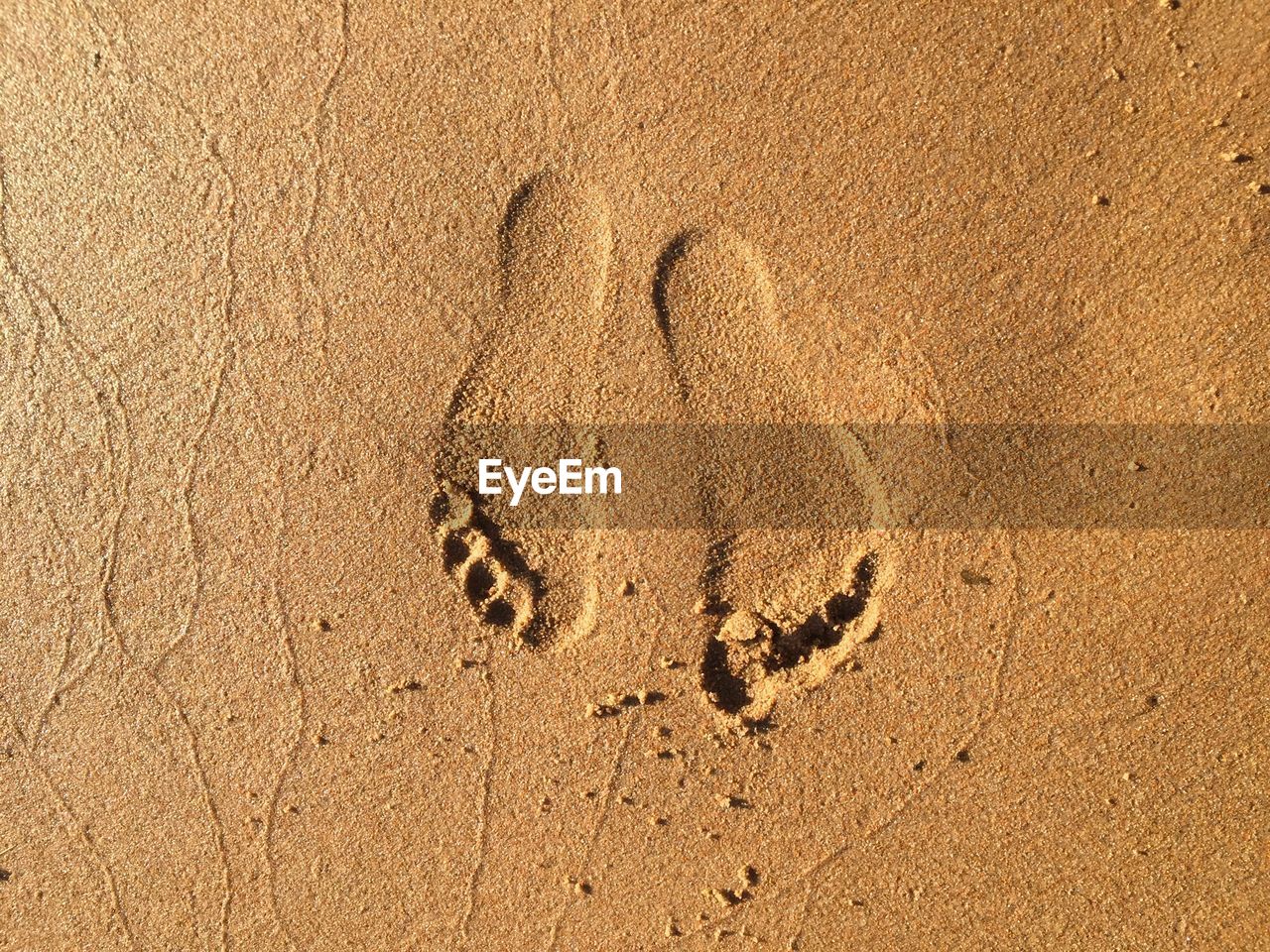 HIGH ANGLE VIEW OF FOOTPRINTS ON WET SAND