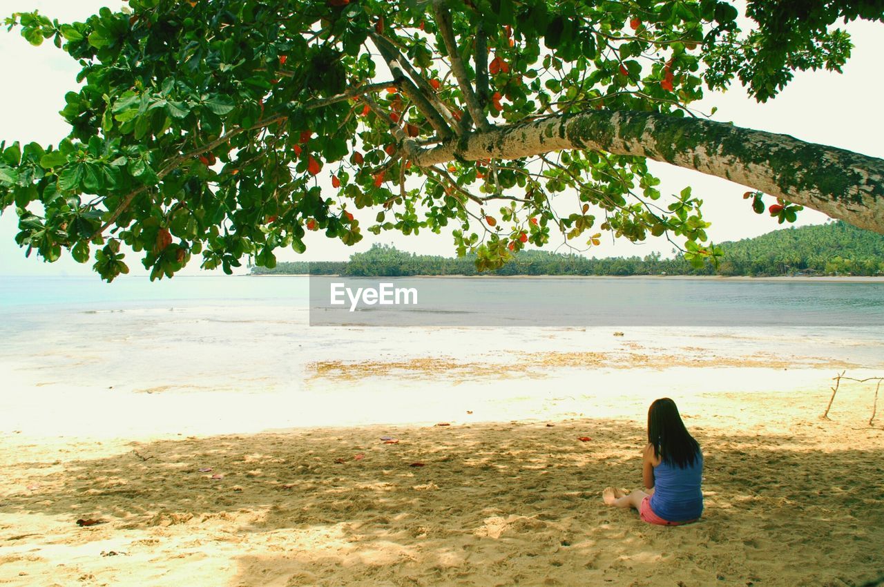 Rear view of woman sitting below tree on sea shore at beach
