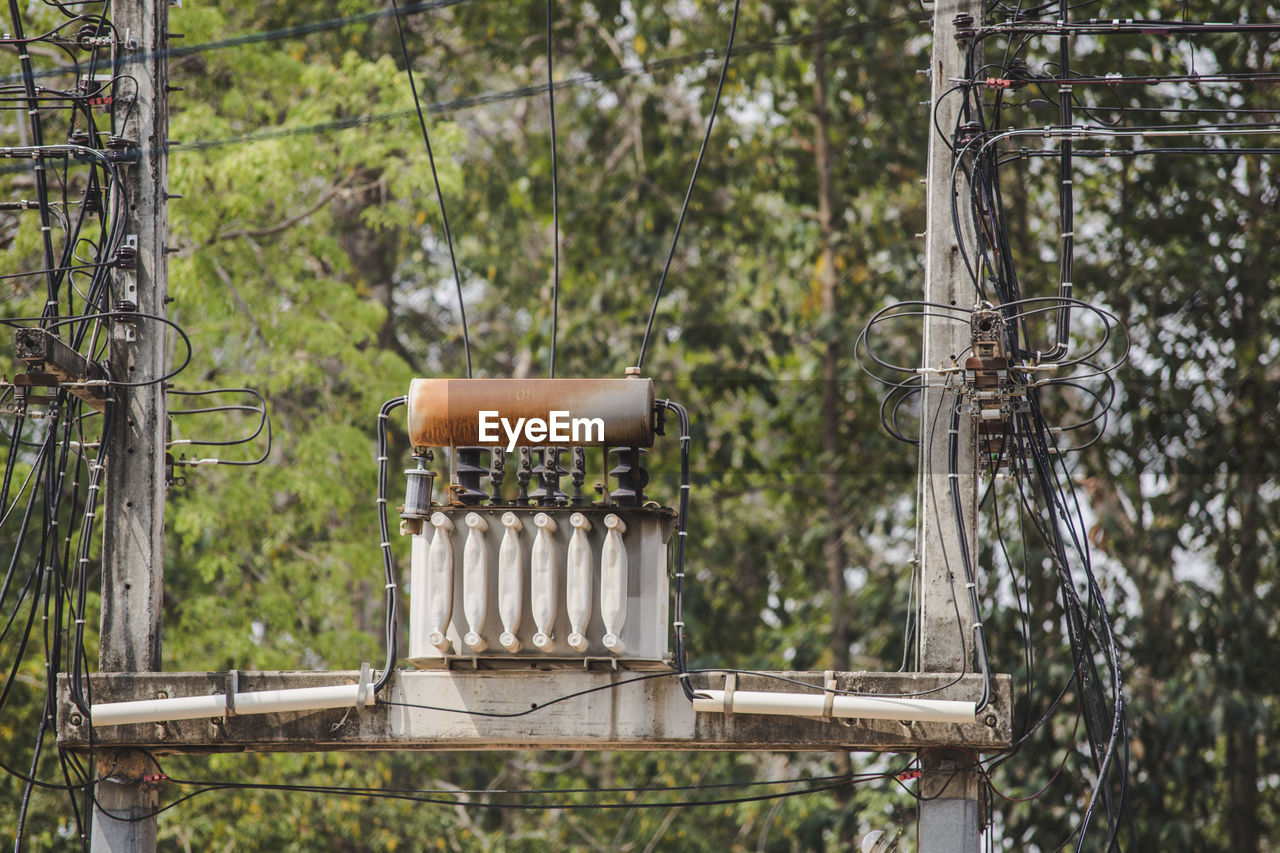 Electricity transformer against trees