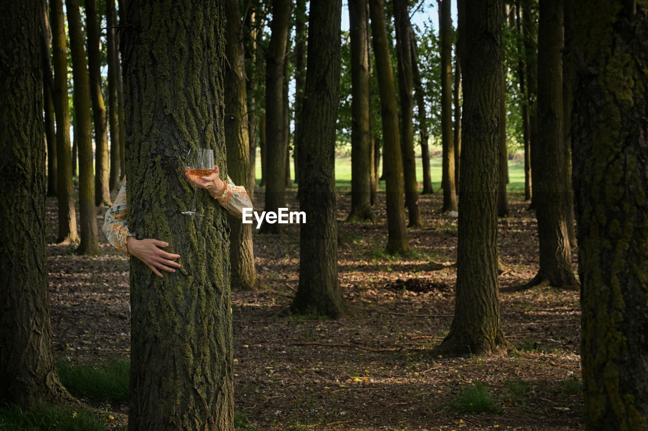 Abstract young woman with glass of rose wine hugging tree in forest