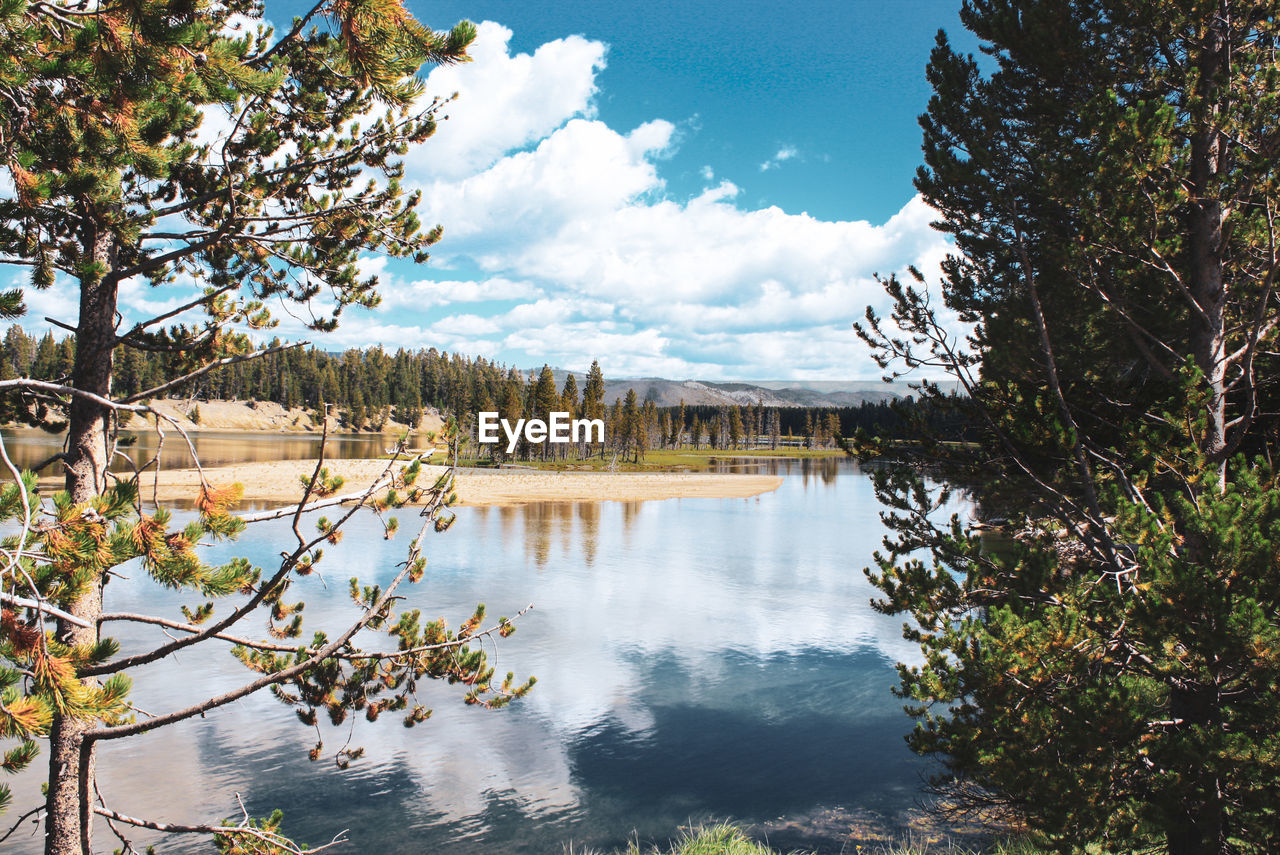 Scenic view of lake reflection in forest against cloudy sky