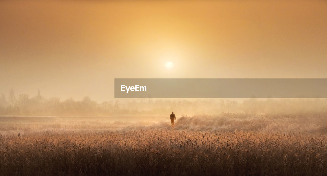 Man walking on field against sky during foggy weather