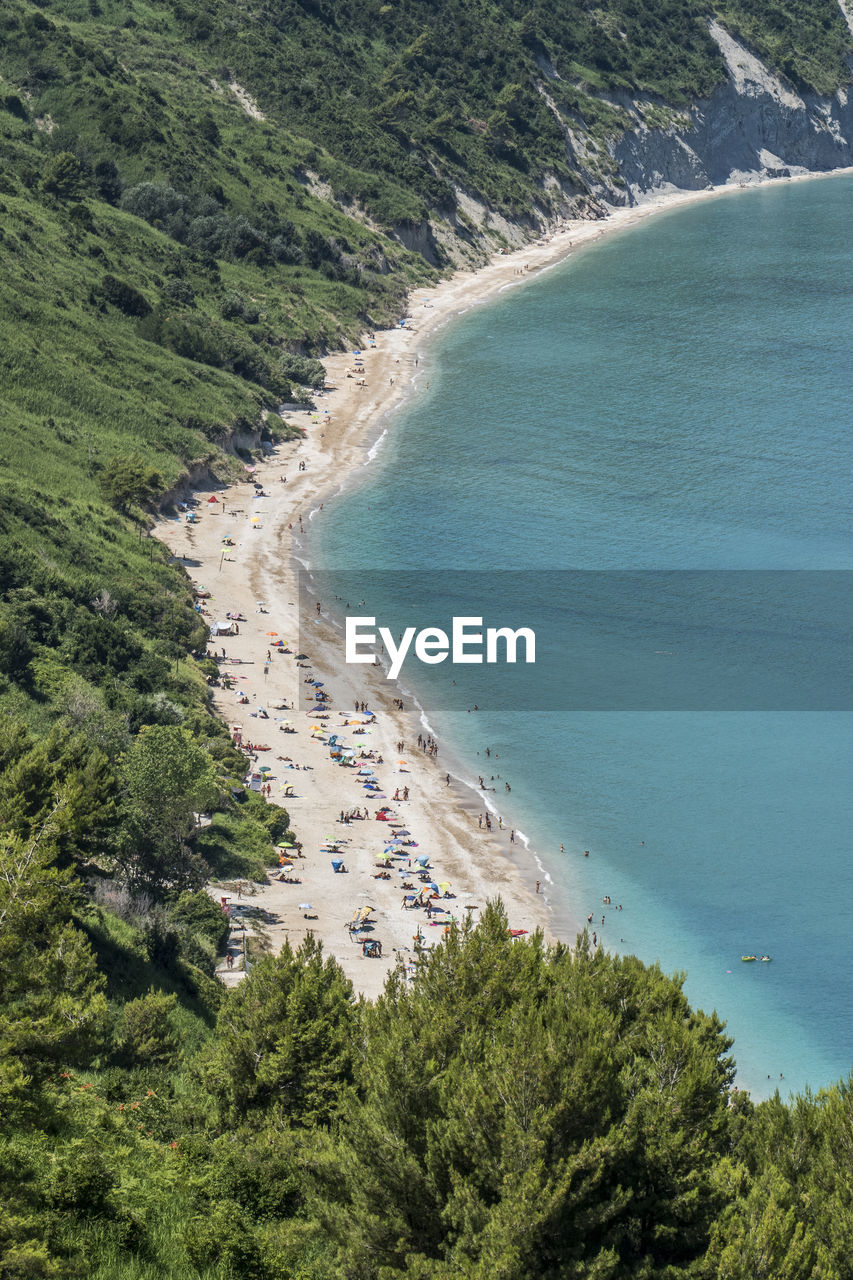 High angle view of sea and trees