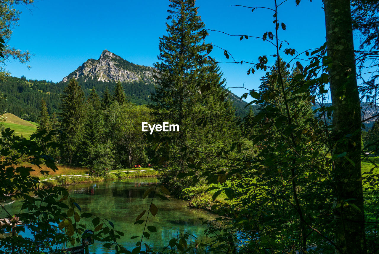 SCENIC VIEW OF LAKE AND TREES AGAINST BLUE SKY