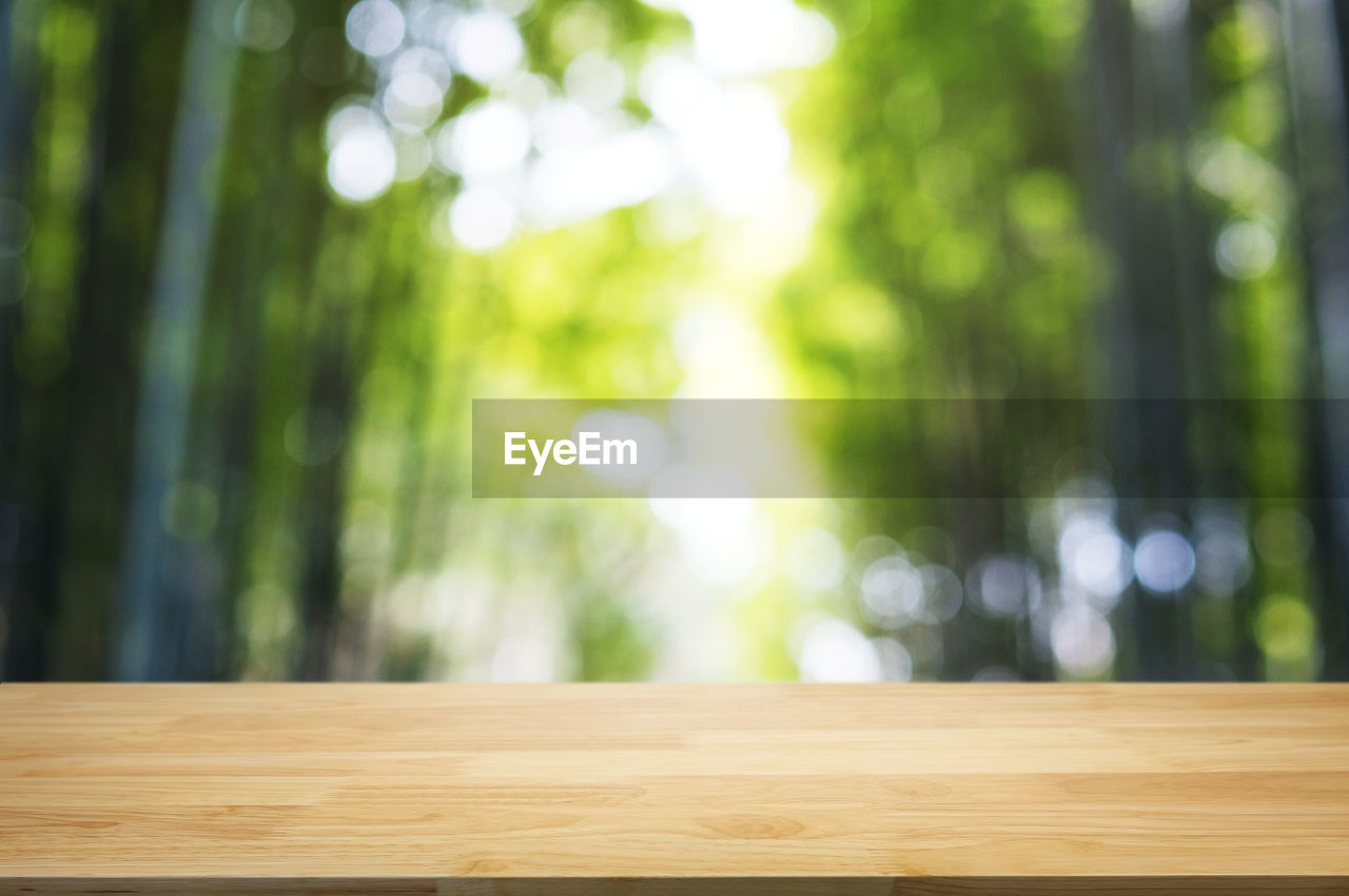 CLOSE-UP OF WOODEN TABLE IN SUNLIGHT
