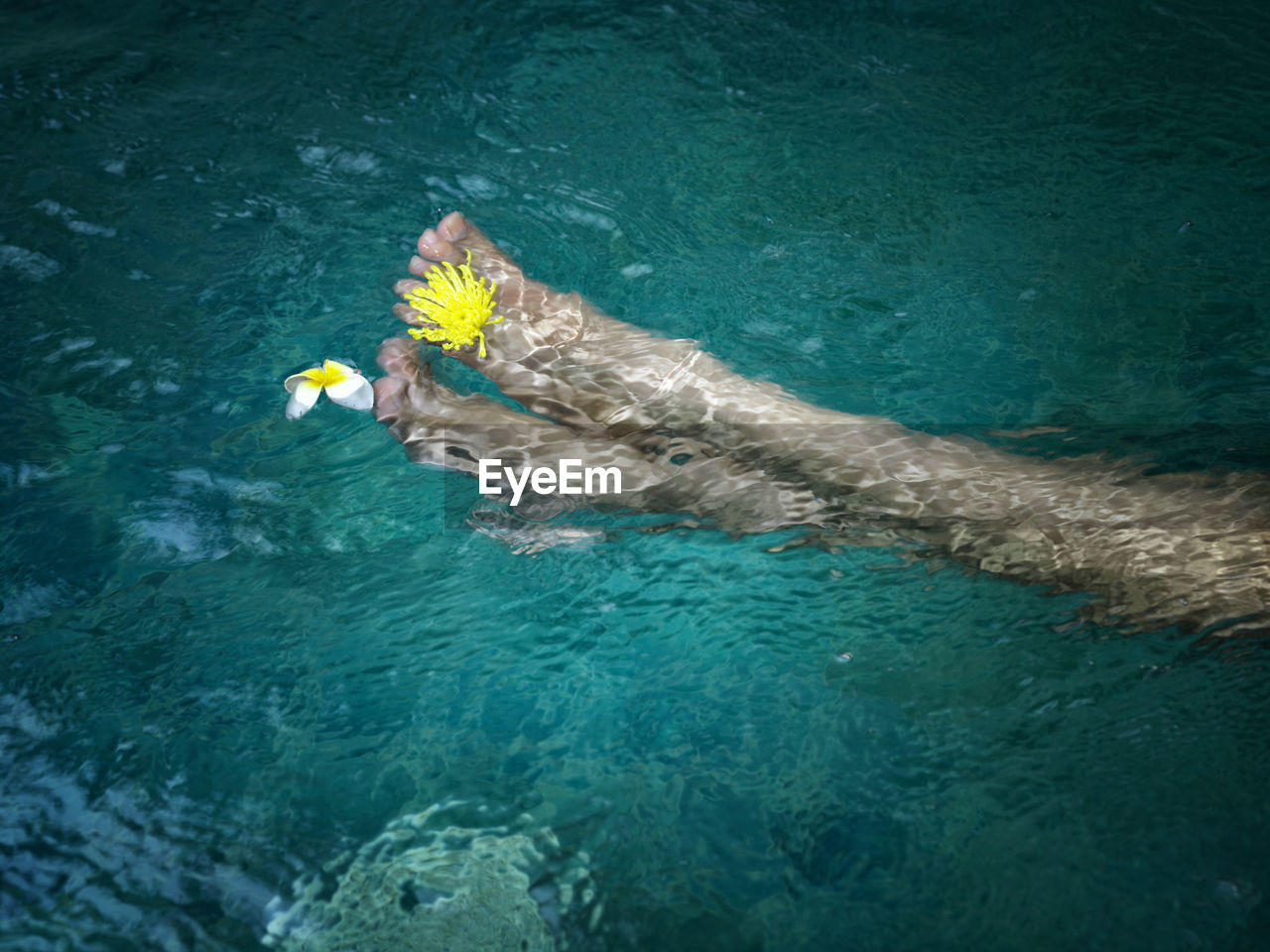 HIGH ANGLE VIEW OF WHALE SWIMMING IN WATER