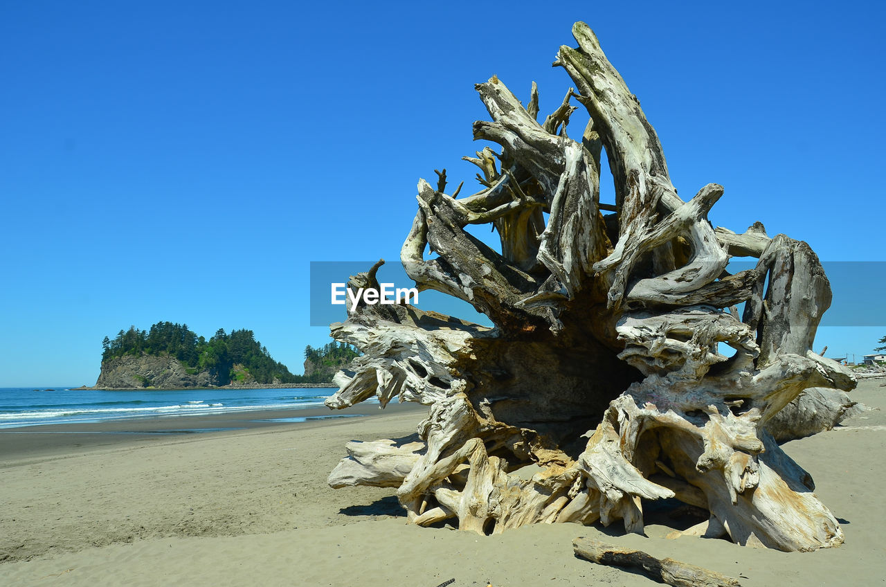 VIEW OF DRIFTWOOD ON BEACH
