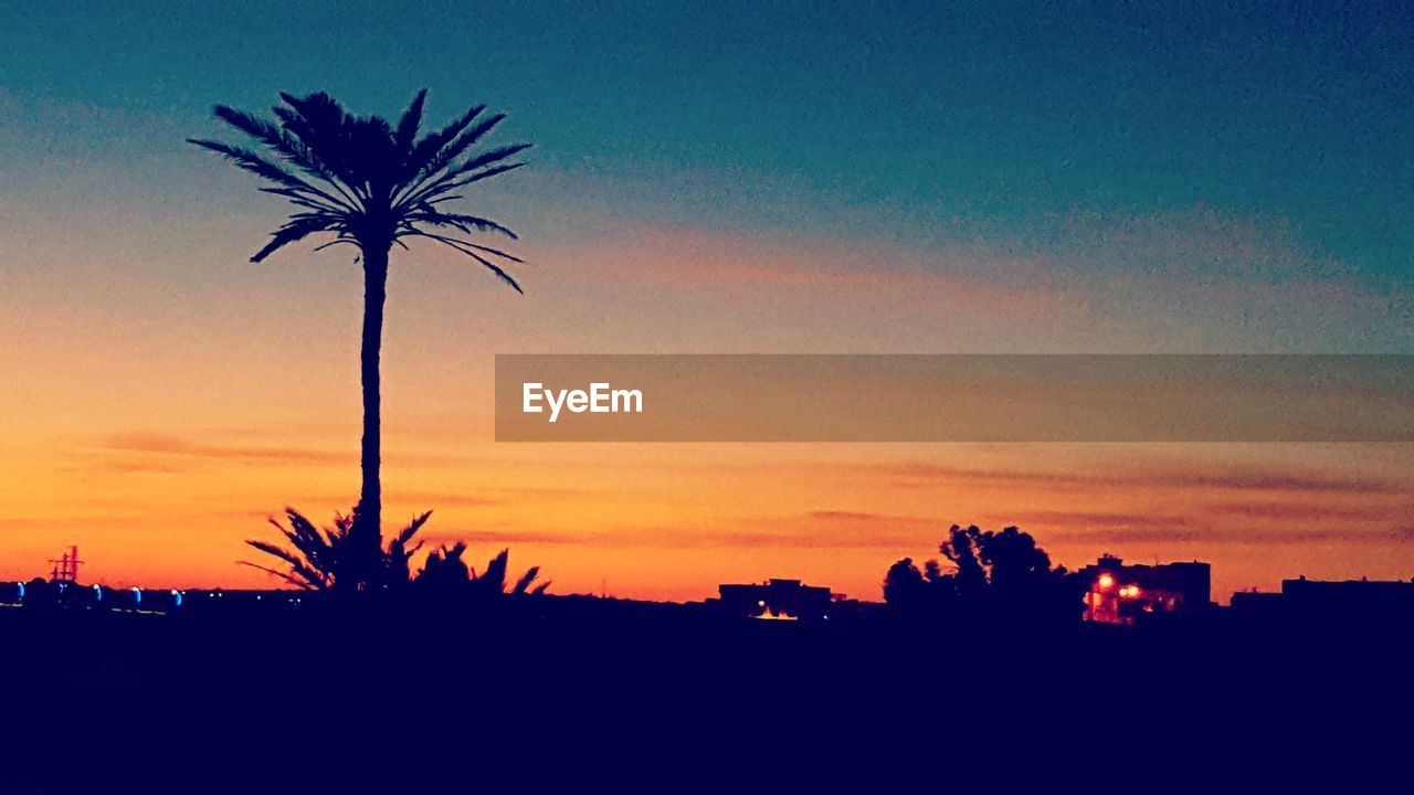 SILHOUETTE PALM TREE AGAINST ROMANTIC SKY AT SUNSET