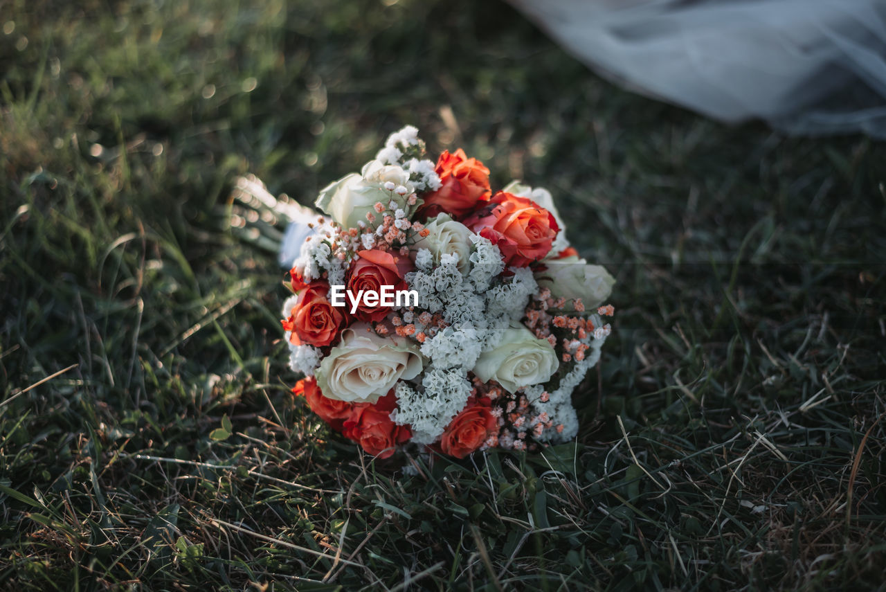 High angle view of rose bouquet on field