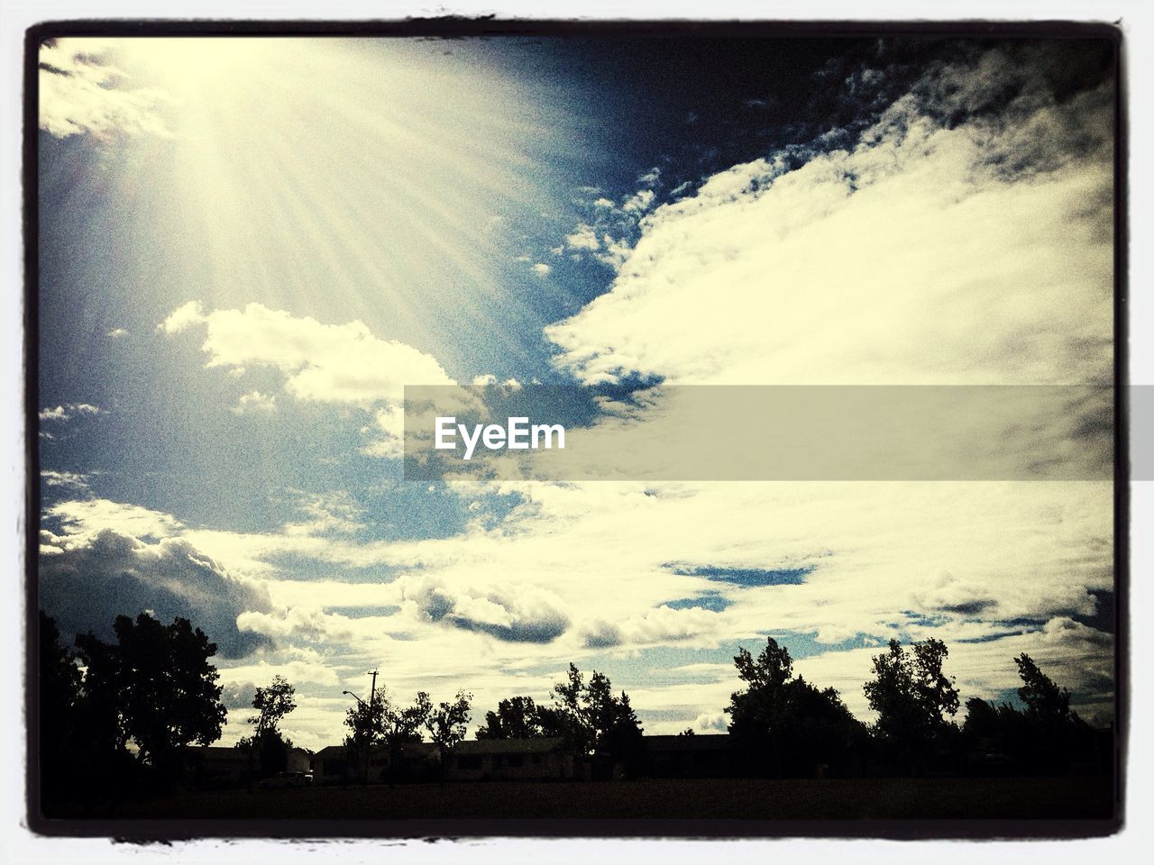 TREES AGAINST CLOUDY SKY