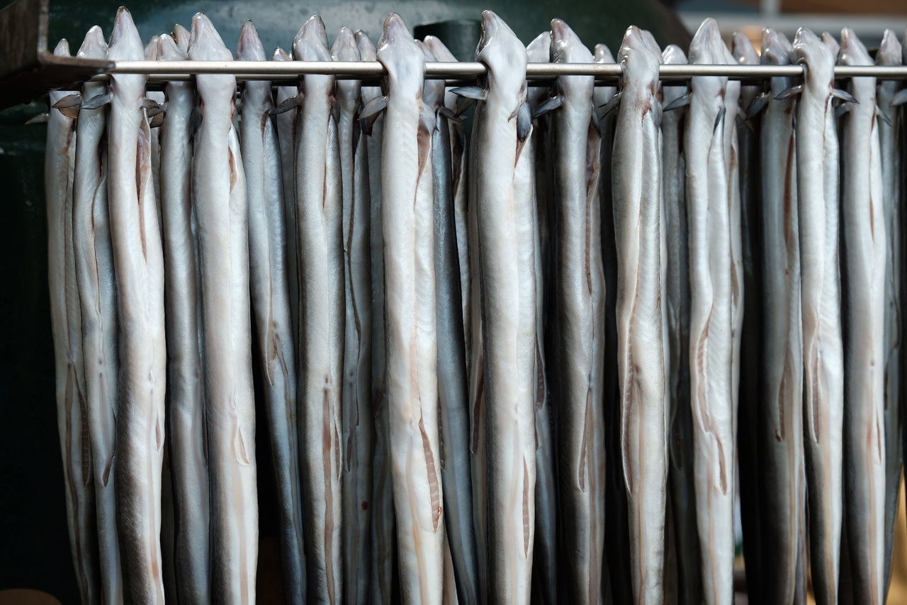 CLOSE-UP OF FISH FOR SALE