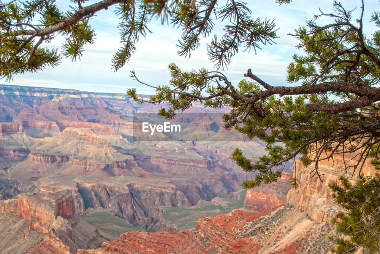 View of landscape with mountain range in background