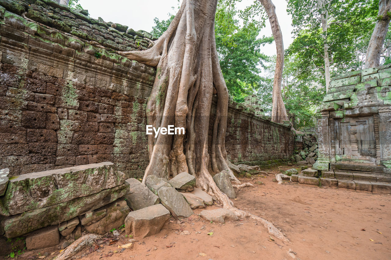 VIEW OF OLD RUIN