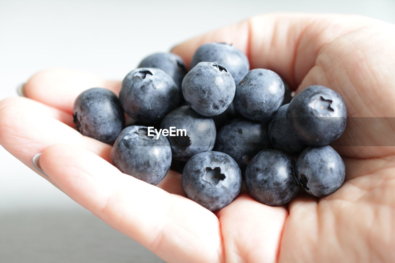 Close-up of hand holding of black berries