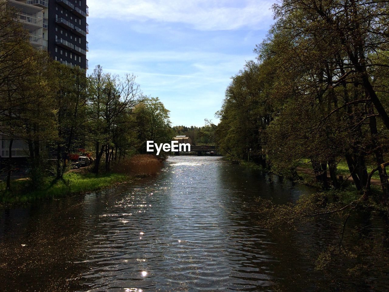 River amidst trees in city against sky