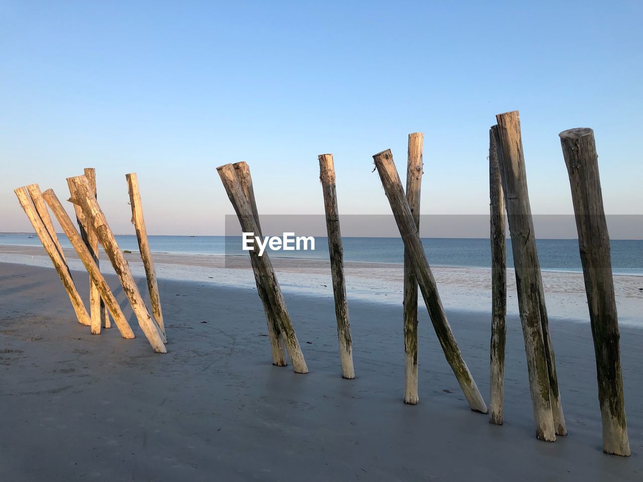 Wooden posts on beach against clear sky