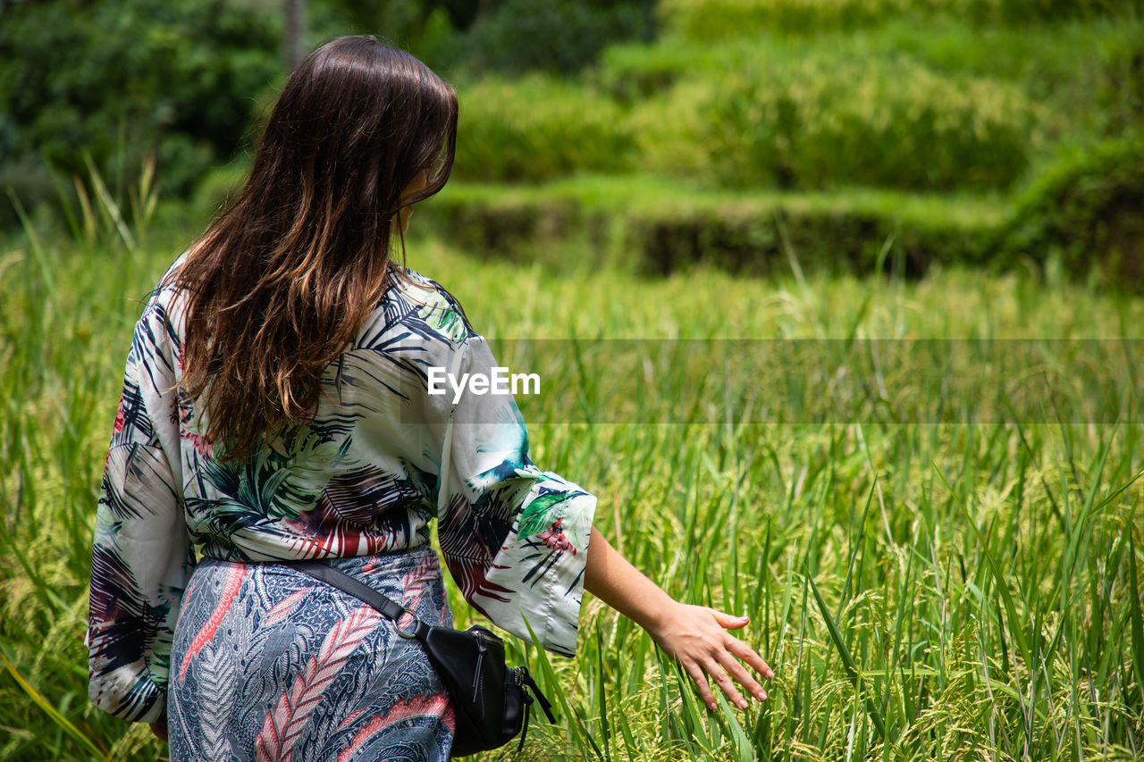 Rear view of woman touching crops while standing at farm