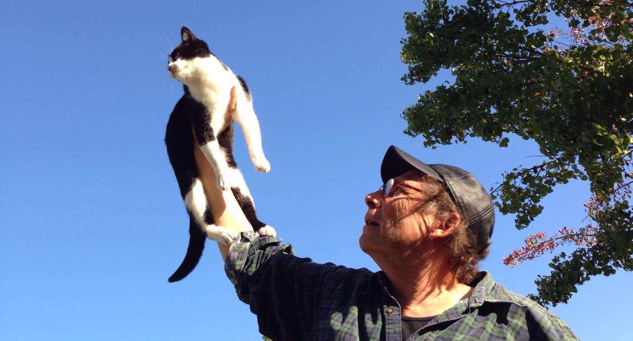 Woman holding cat in air