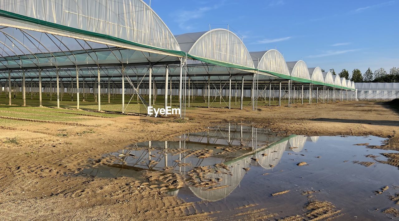 ARCH BRIDGE IN GREENHOUSE