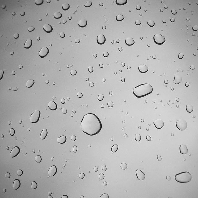 CLOSE-UP OF WATER DROPS ON LEAF