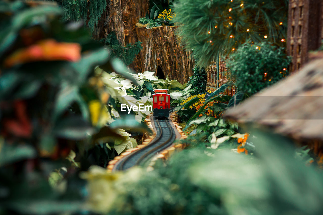 Small red model train in a horticultural holiday exhibit