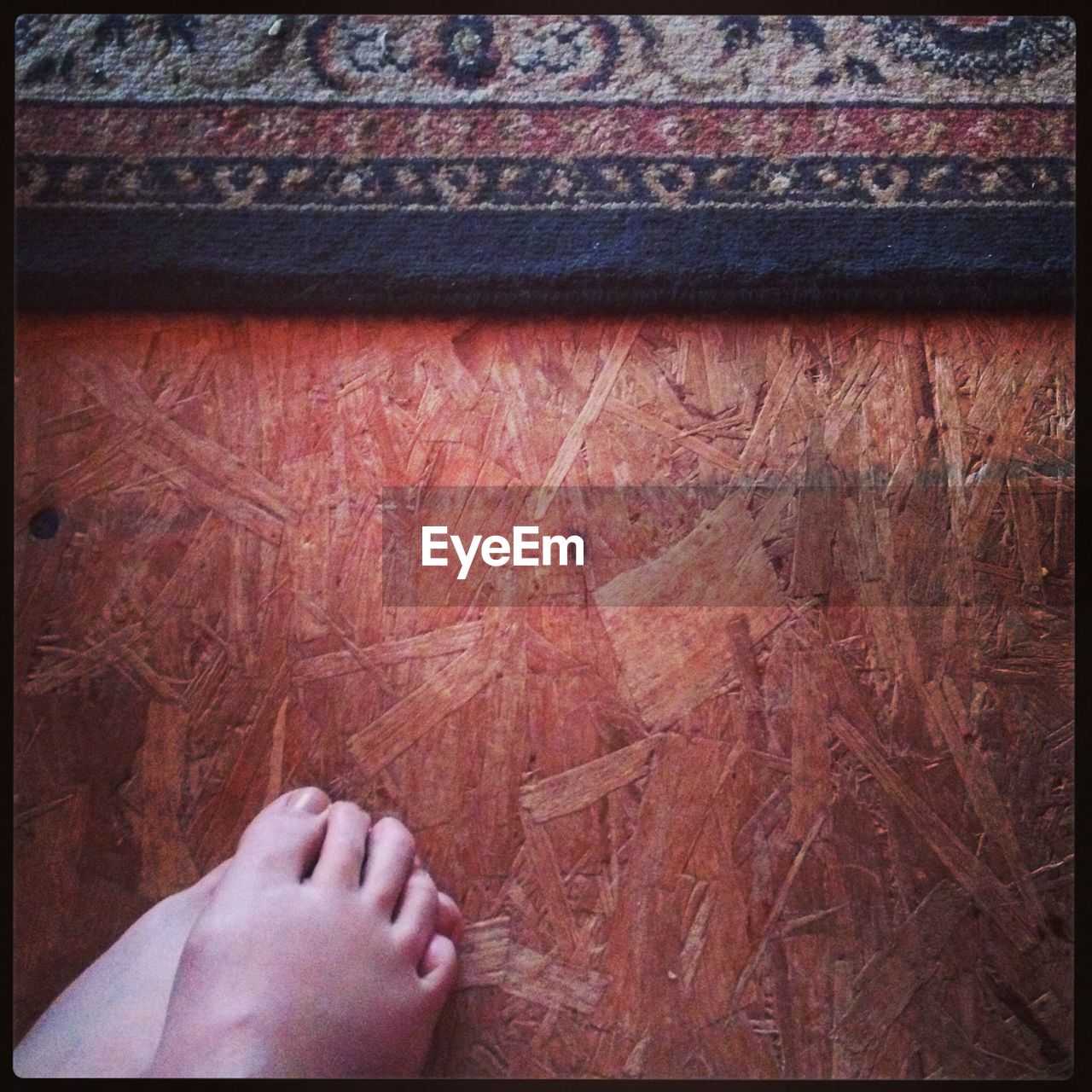 Low section of woman standing on hardwood floor by carpet