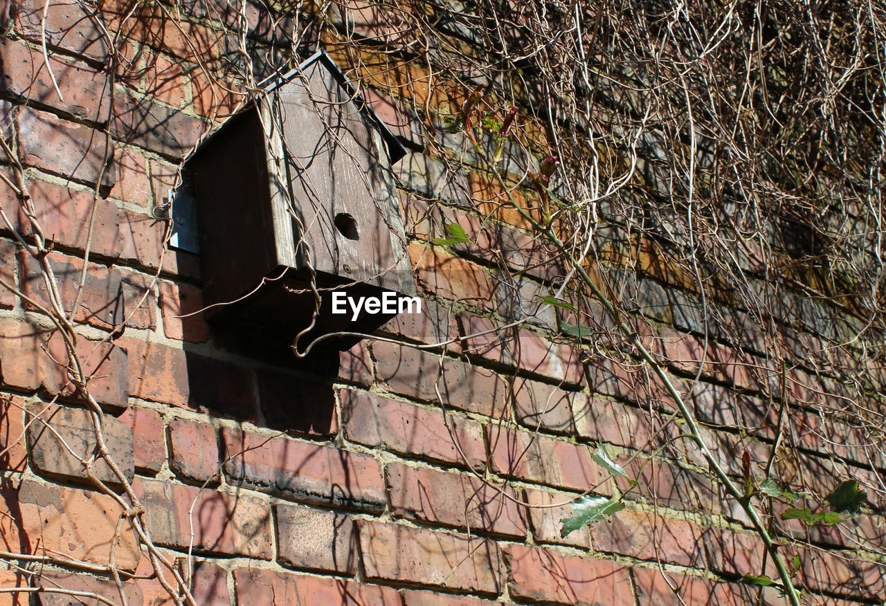 Low angle view of birdhouse by dry ivy on wall