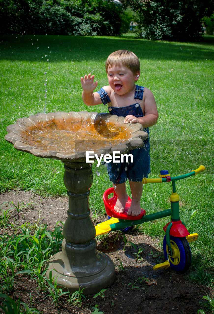 Toddler splashing in a bird bath, standing on his tricycle