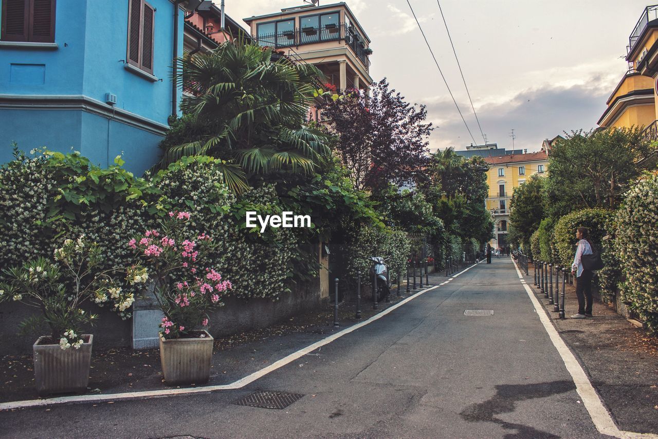 STREET AMIDST TREES AND BUILDINGS AGAINST SKY