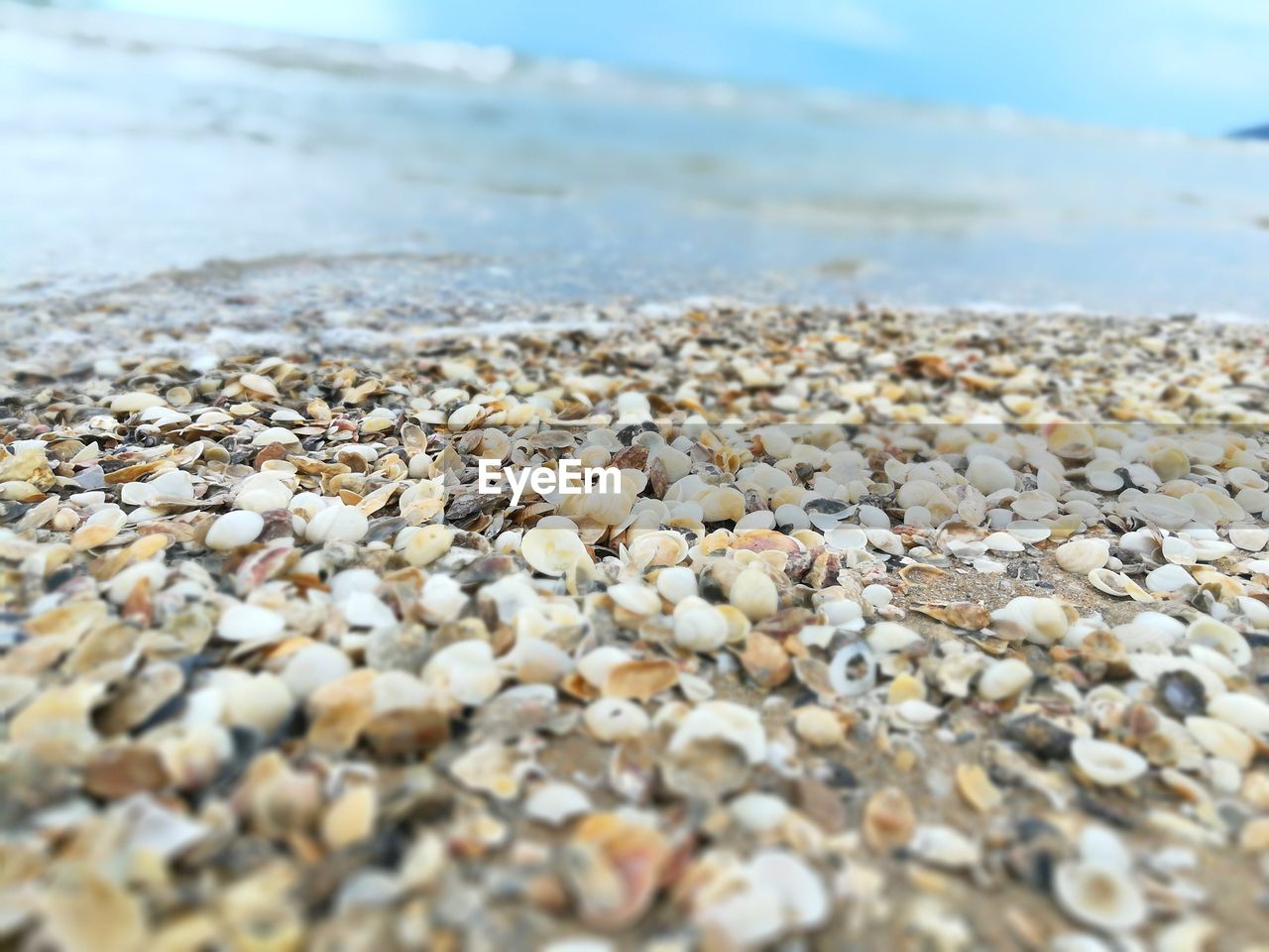 CLOSE-UP OF STONES ON SHORE