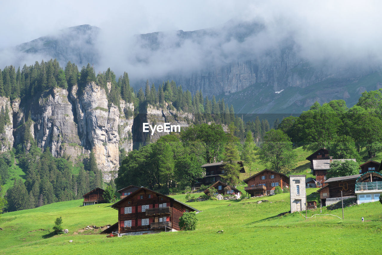 Scenic view of trees and houses against mountains