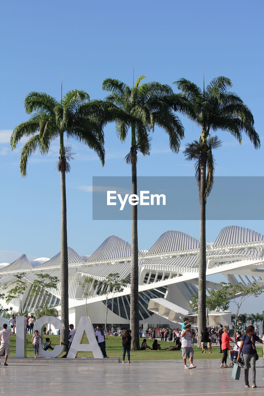 PEOPLE BY PALM TREES AGAINST SKY