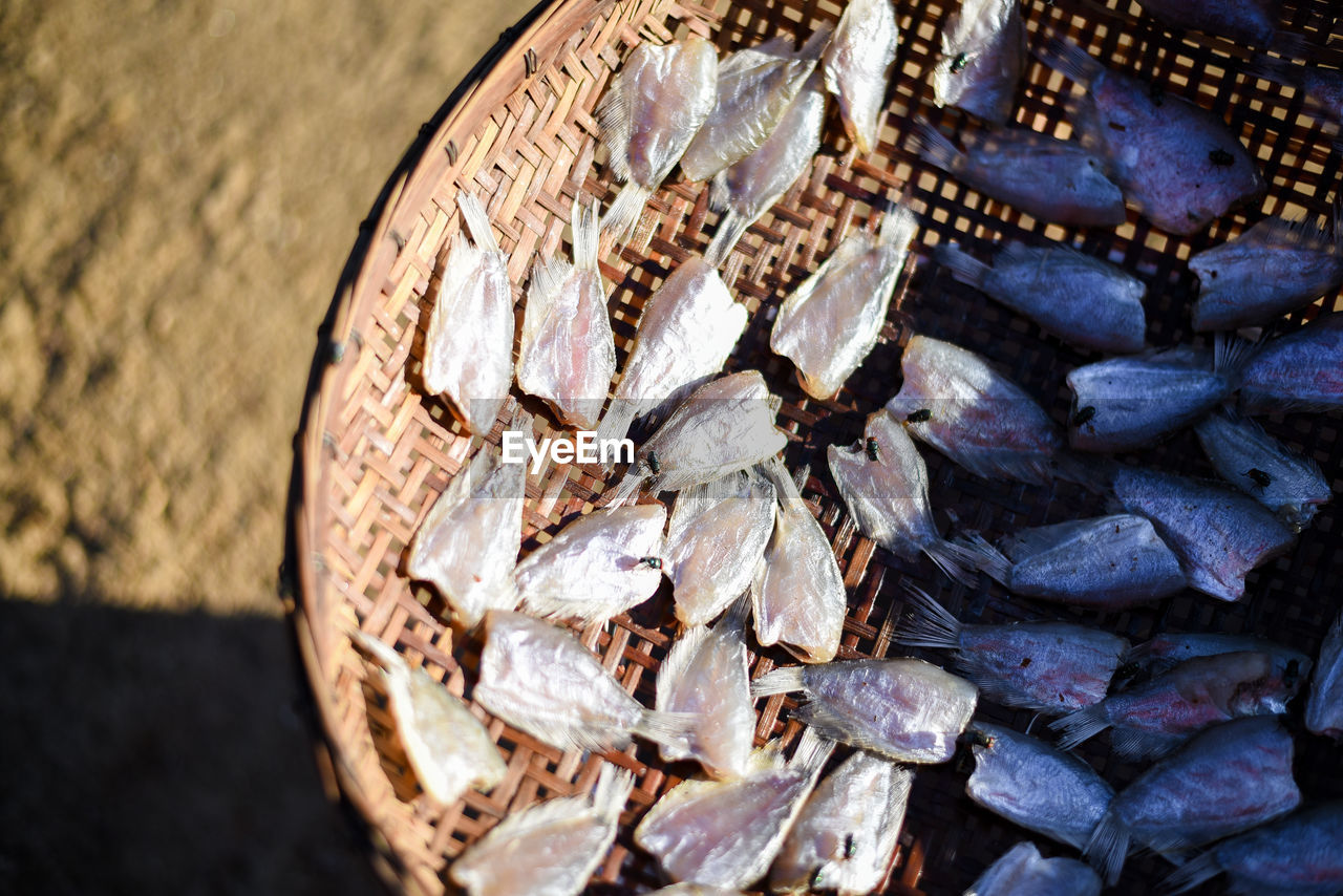 Fish dried food