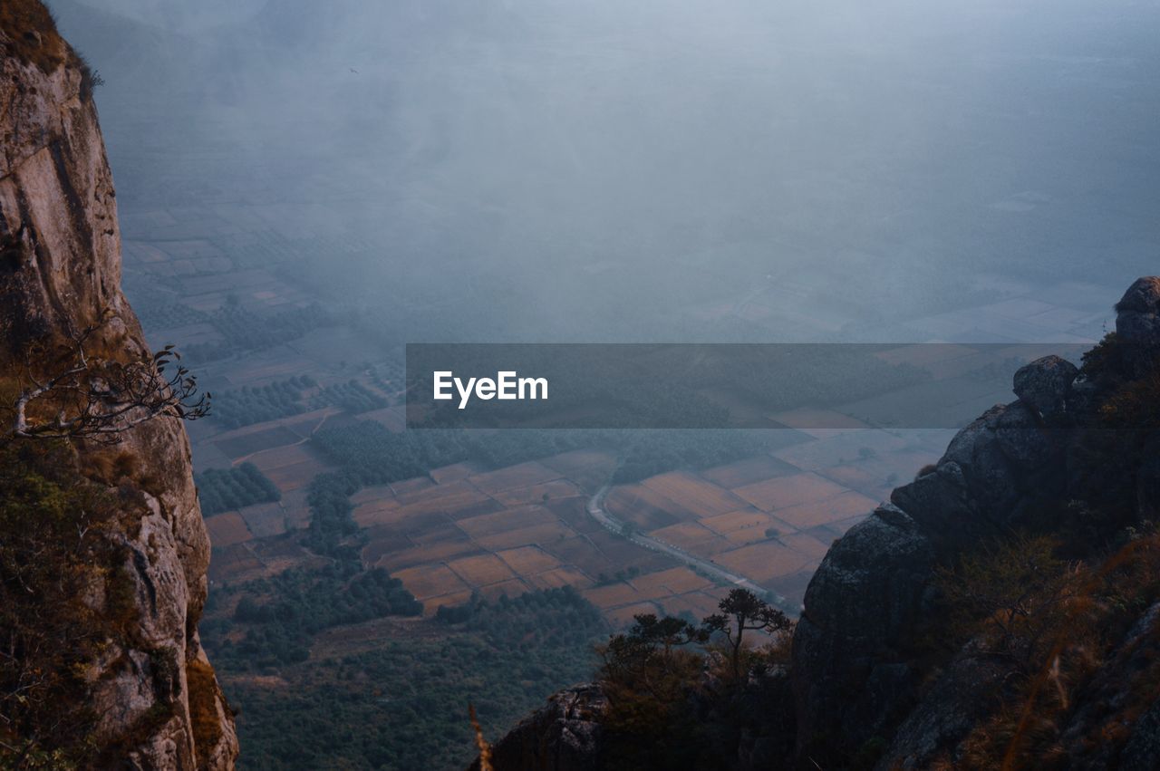 HIGH ANGLE VIEW OF TREES ON MOUNTAIN RANGE