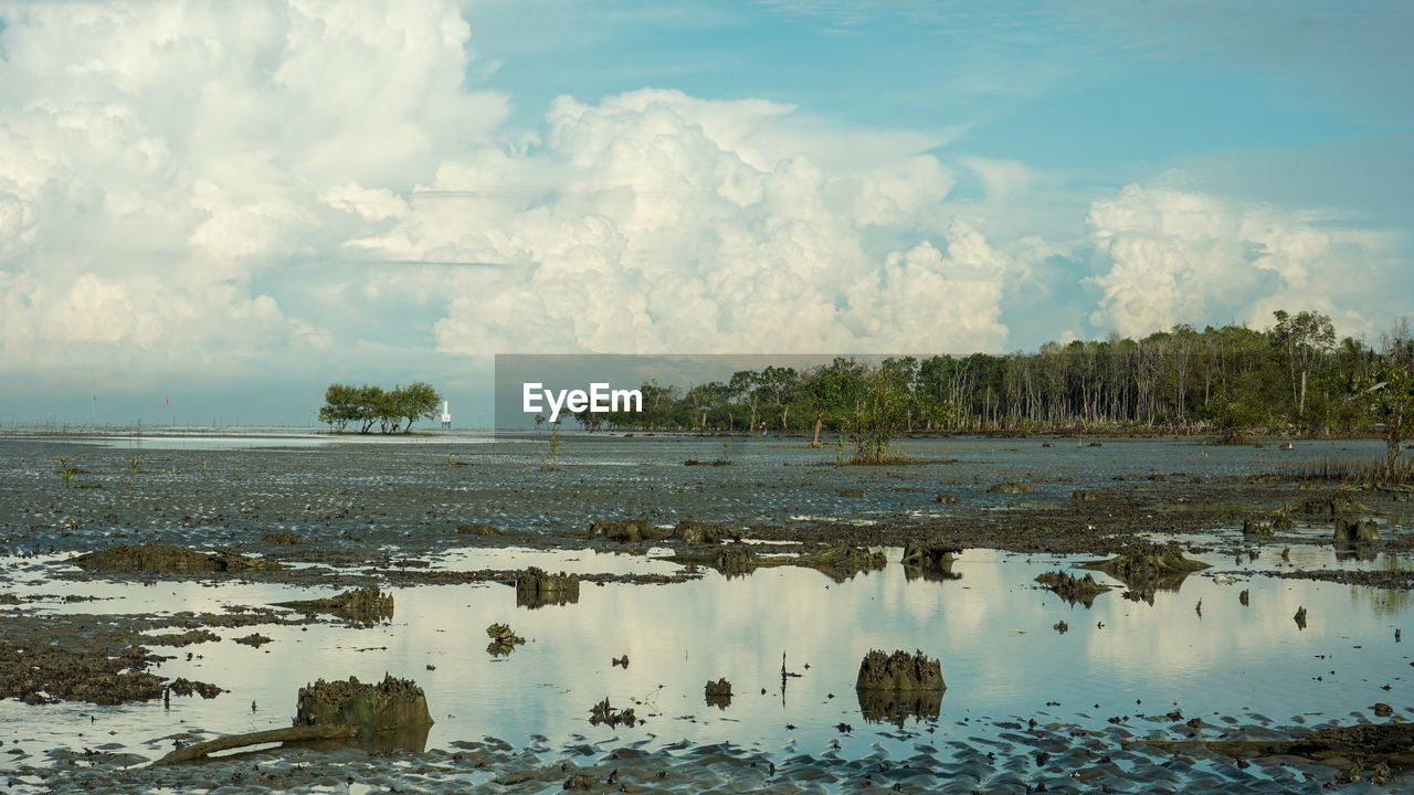 PANORAMIC VIEW OF LAKE AND TREES AGAINST SKY