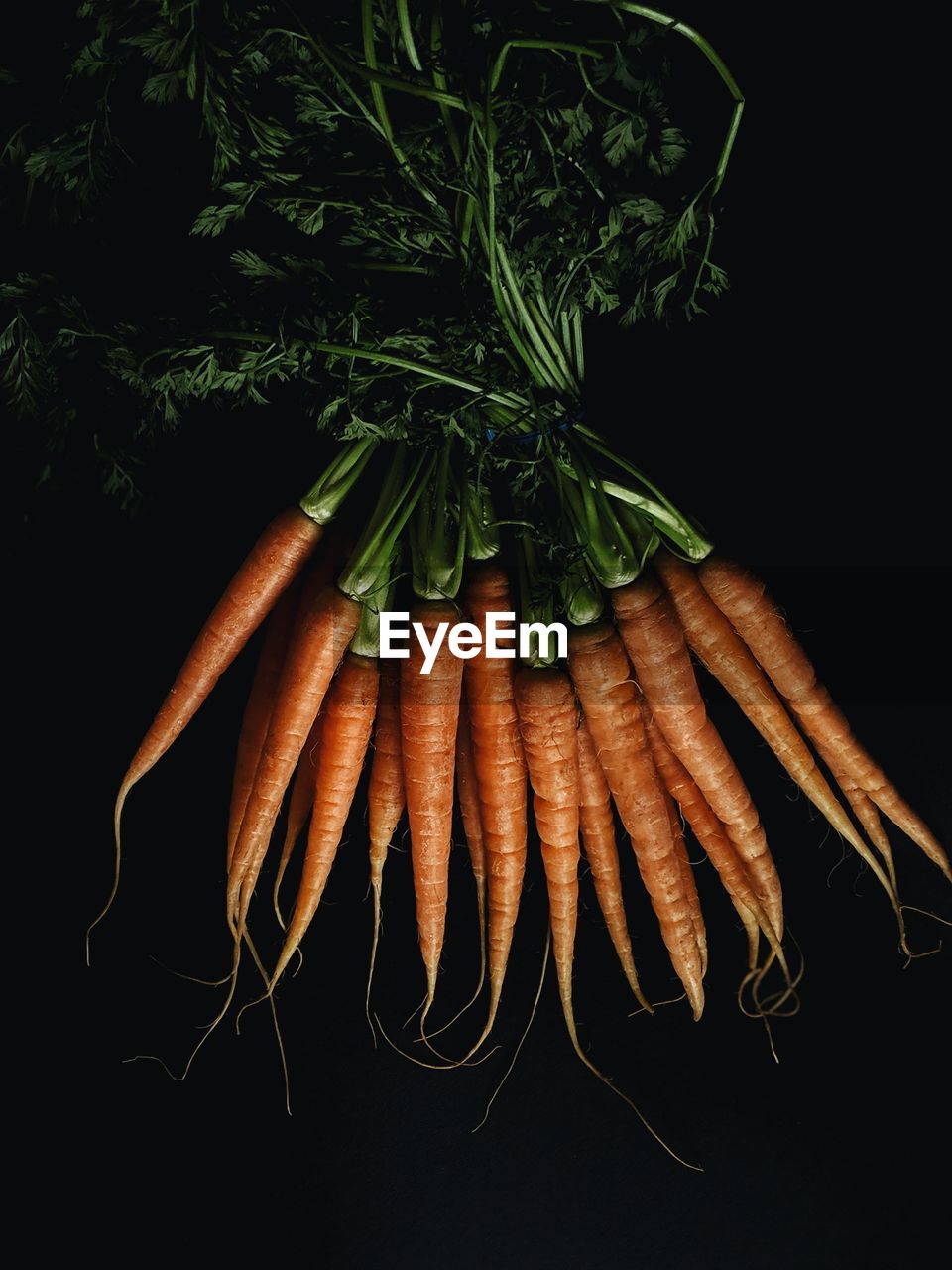 High angle view of carrots on black background