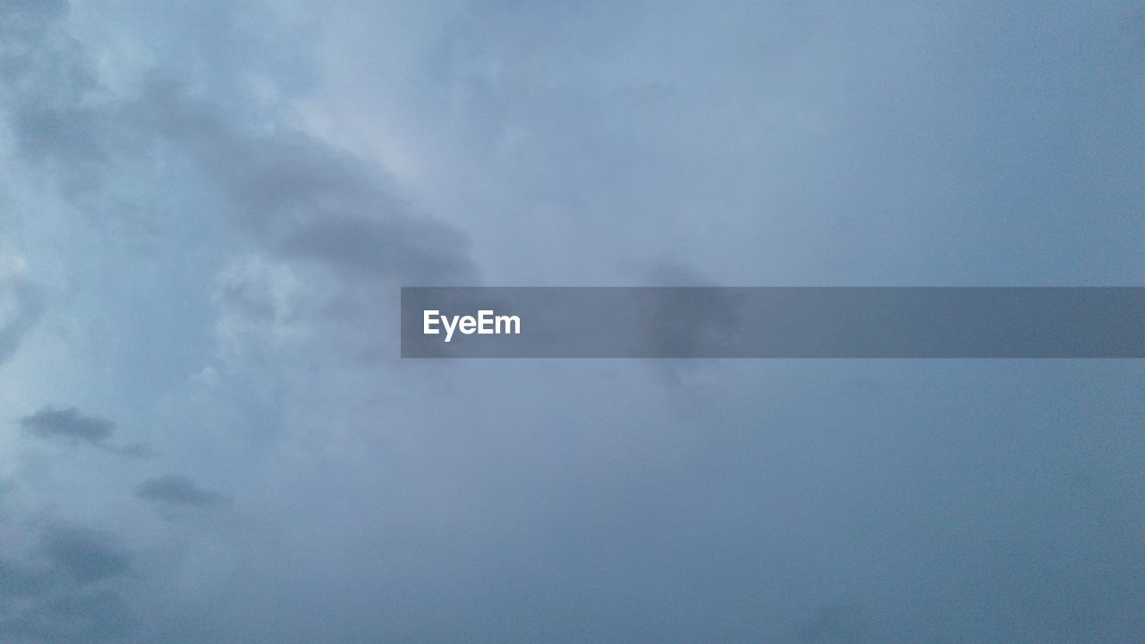 LOW ANGLE VIEW OF TREES AGAINST SKY