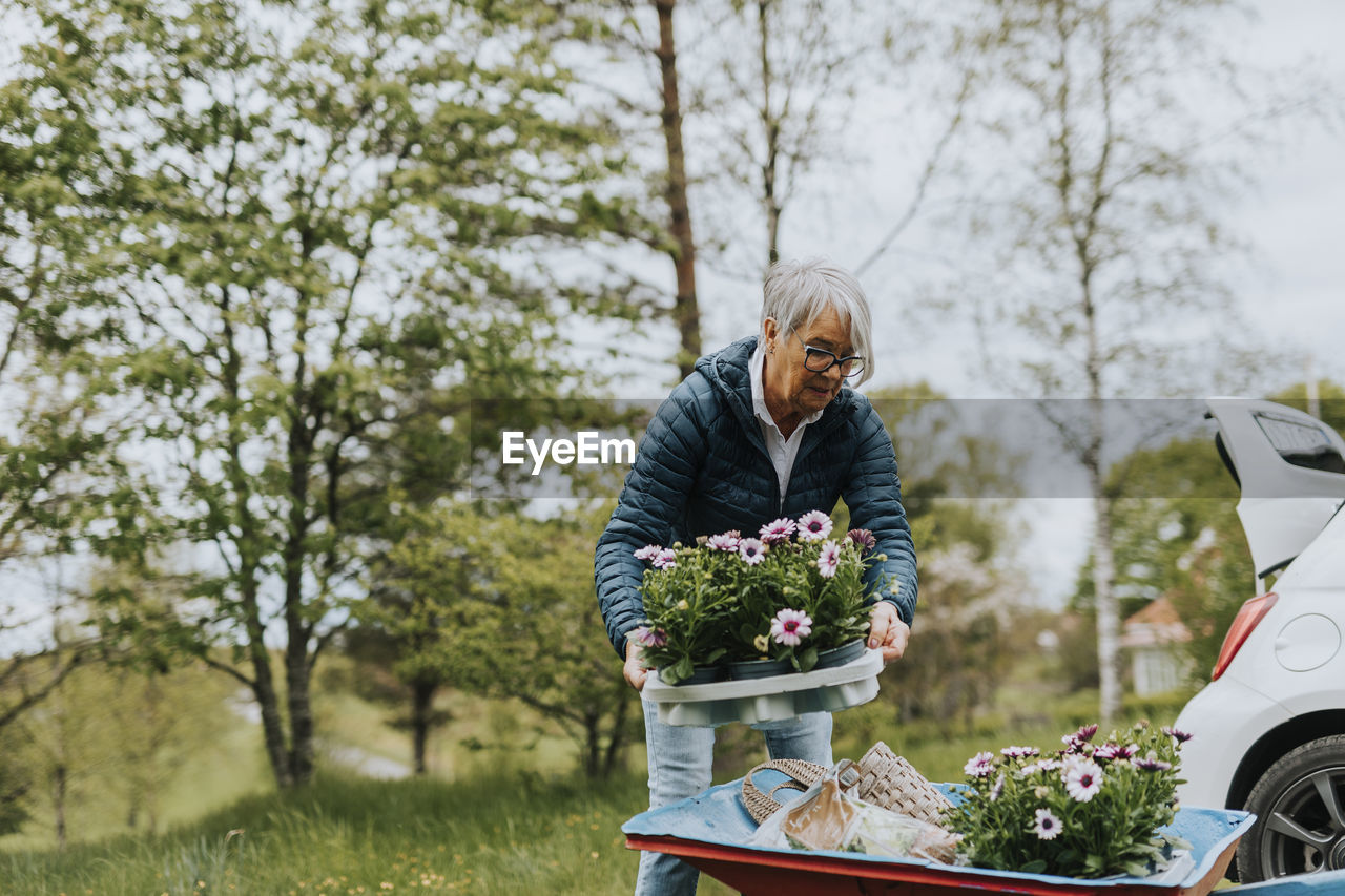 Woman loading flowers on wheelbarrow