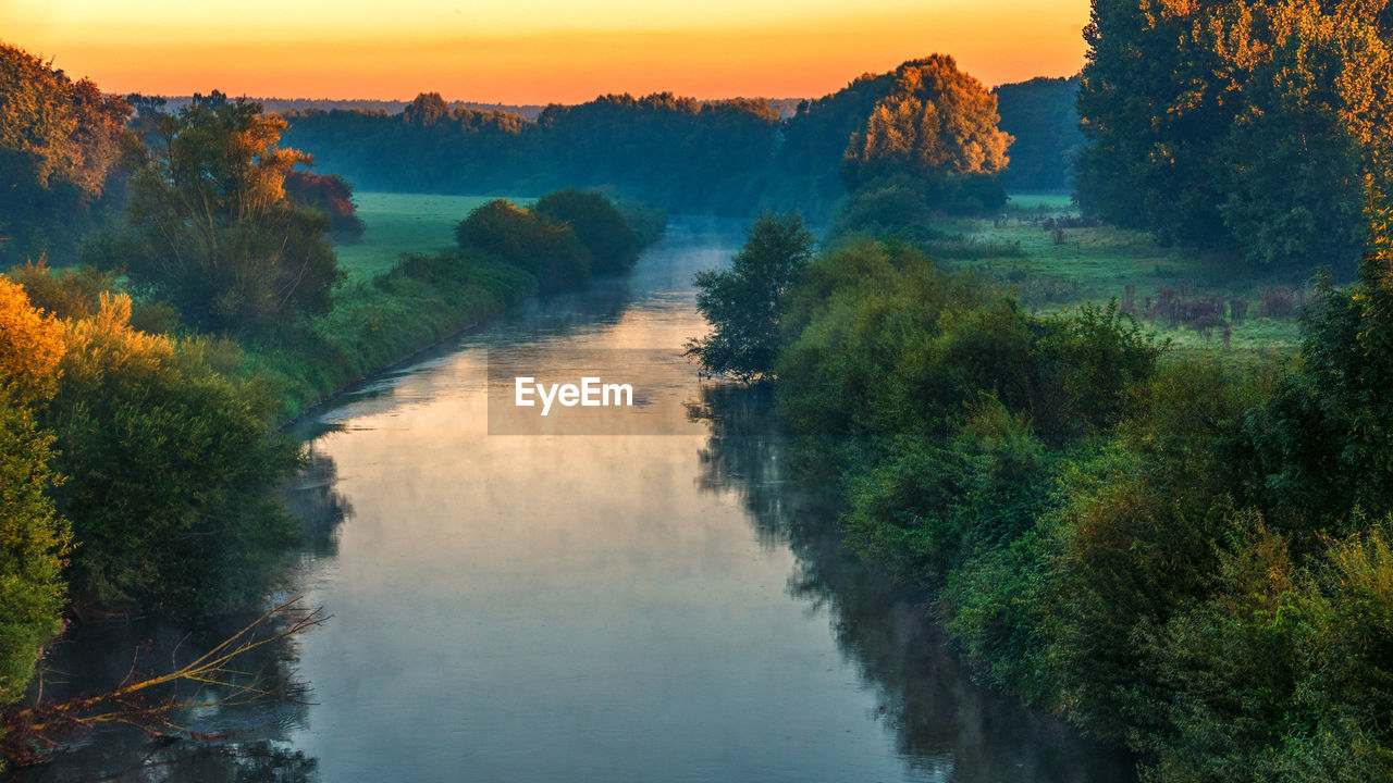 HIGH ANGLE VIEW OF TREES DURING SUNSET