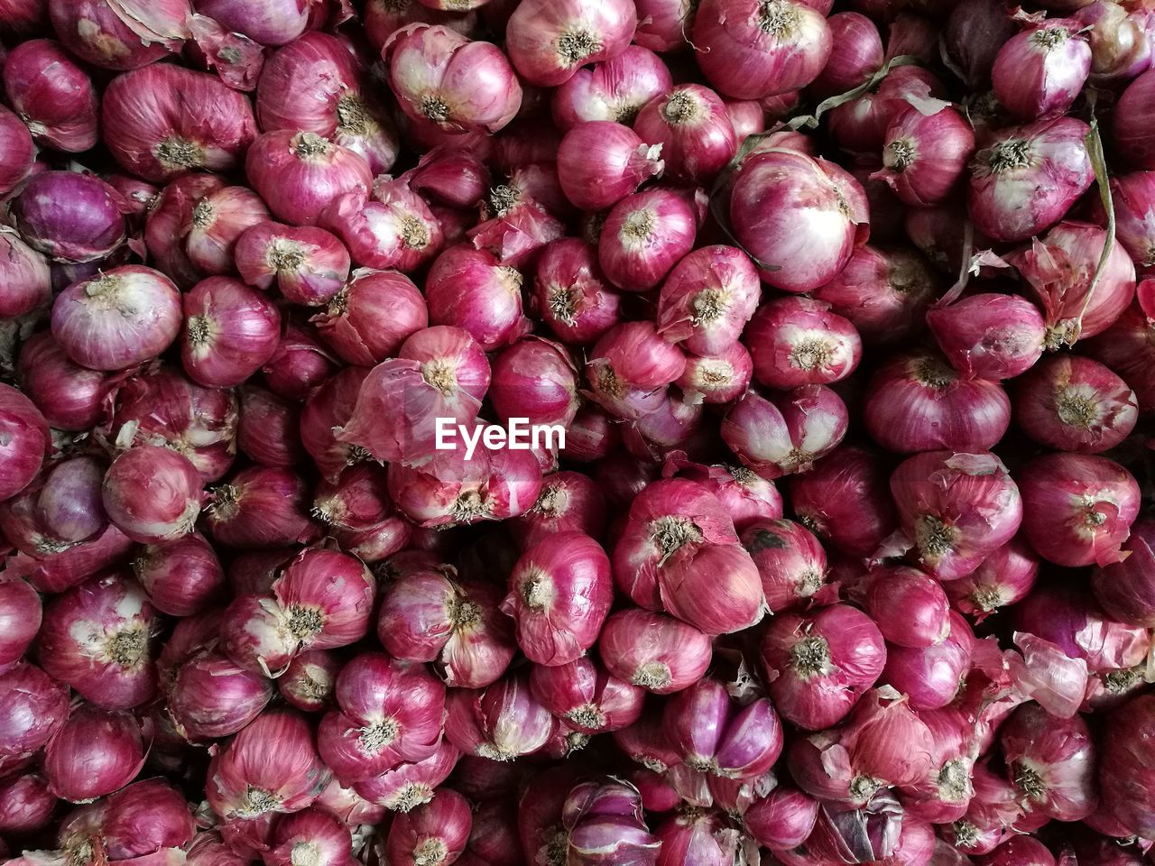 FULL FRAME SHOT OF BLUEBERRIES