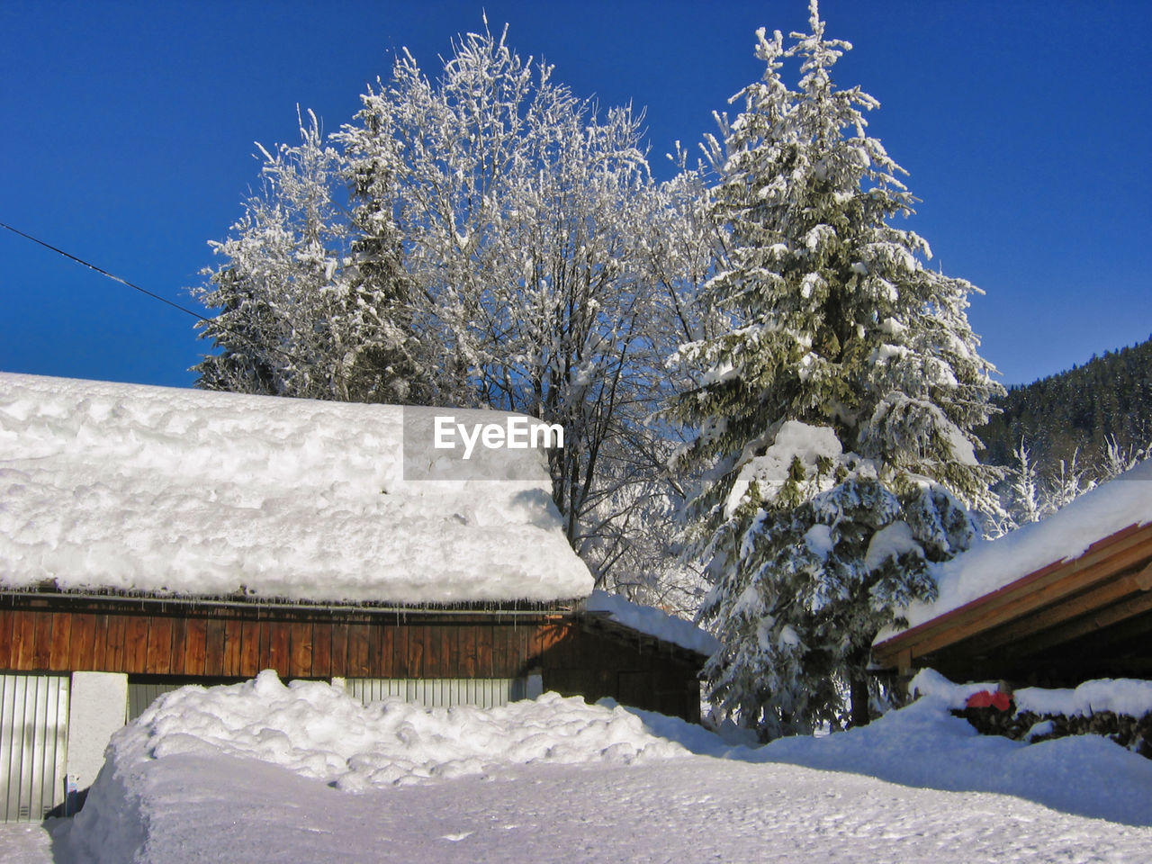 SNOW COVERED TREES AND HOUSES AGAINST SKY