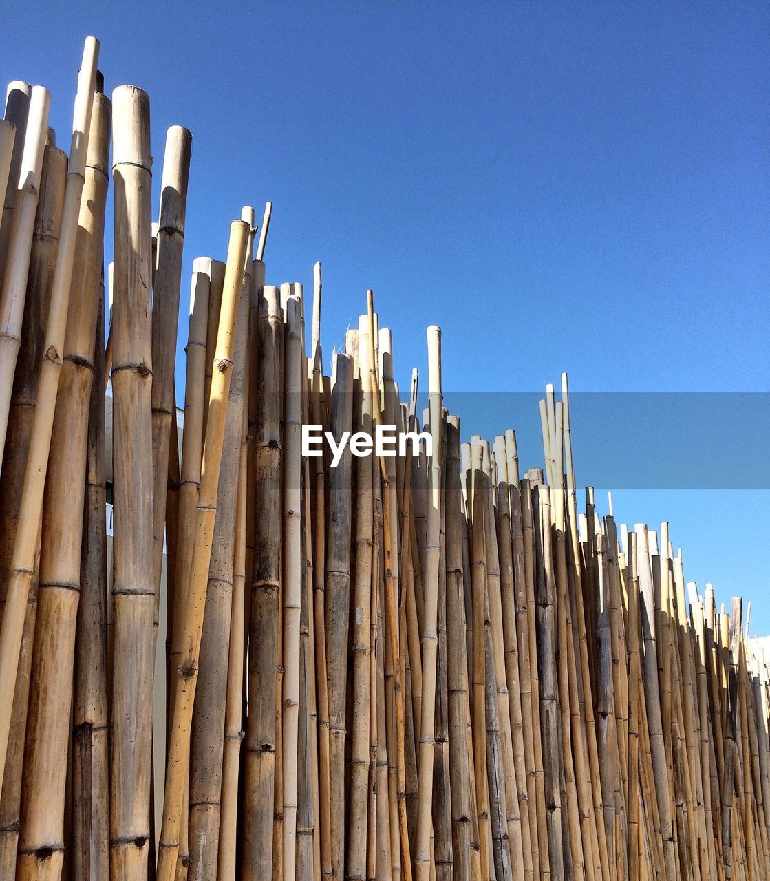 LOW ANGLE VIEW OF WOOD AGAINST BLUE SKY